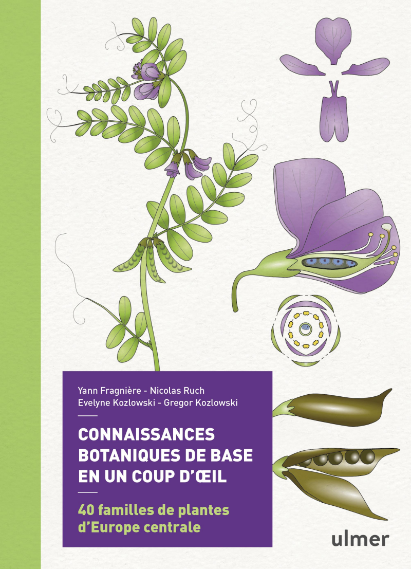 couverture Connaissances botaniques de base en un coup d'oeil