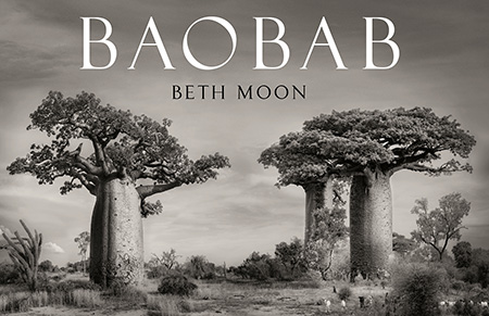 Baobab Par Beth Moon, textes de Beth Moon et Adrian Patrut