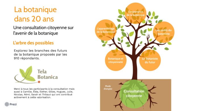 L'arbre des possibles - Consultation citoyenne 