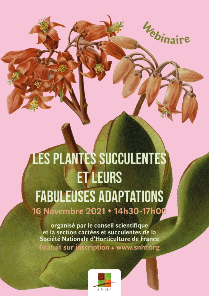 Les plantes succulentes et leurs fabuleuses adaptations_A3
