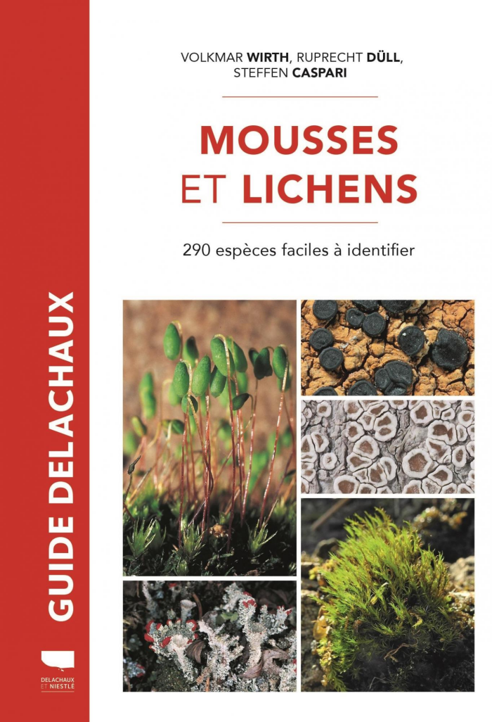 couverture mousses et lichens