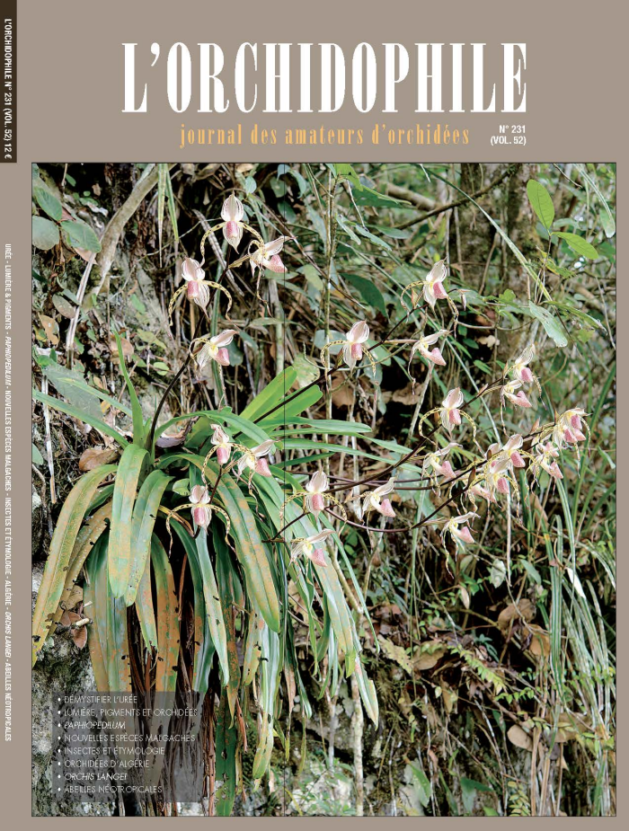 couverture l'orchidophile n°231