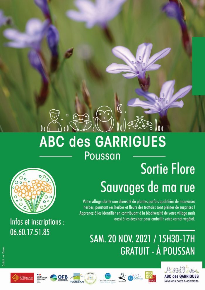 ABC Garrigue Affiche_Sortie 20-11-21POUSSAN (7)