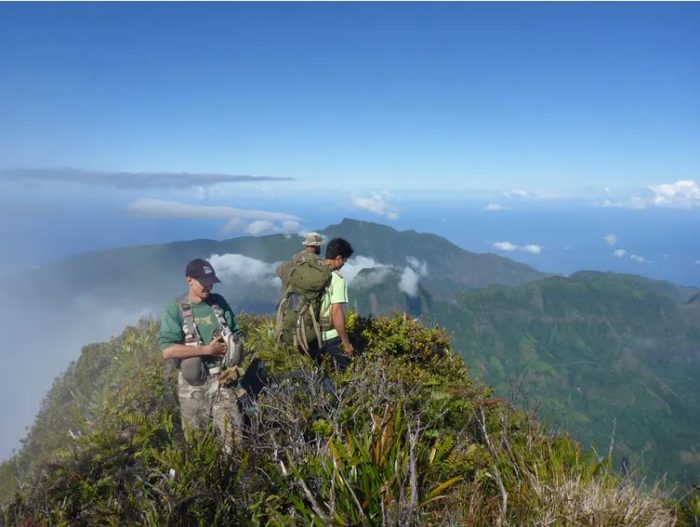 Au sommet du Mt Orohena, point culminant de Polynésie française et des îles du Pacifique sud, avec des collègues d’associations de protection de la nature. Jean‑Yves Meyer