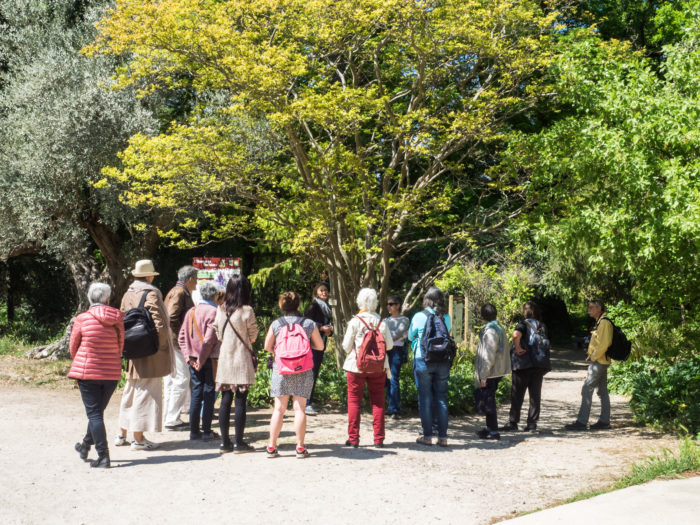 Diffusez la science participative en territoire !