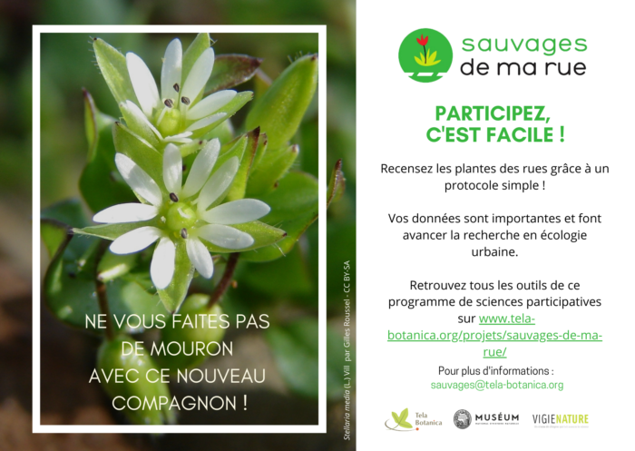 Flyer Sauvages_4