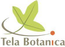 logo Tela Botanica