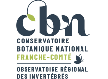 logo cbnfc ori