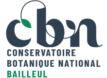 logo cbnbl cbn bailleul