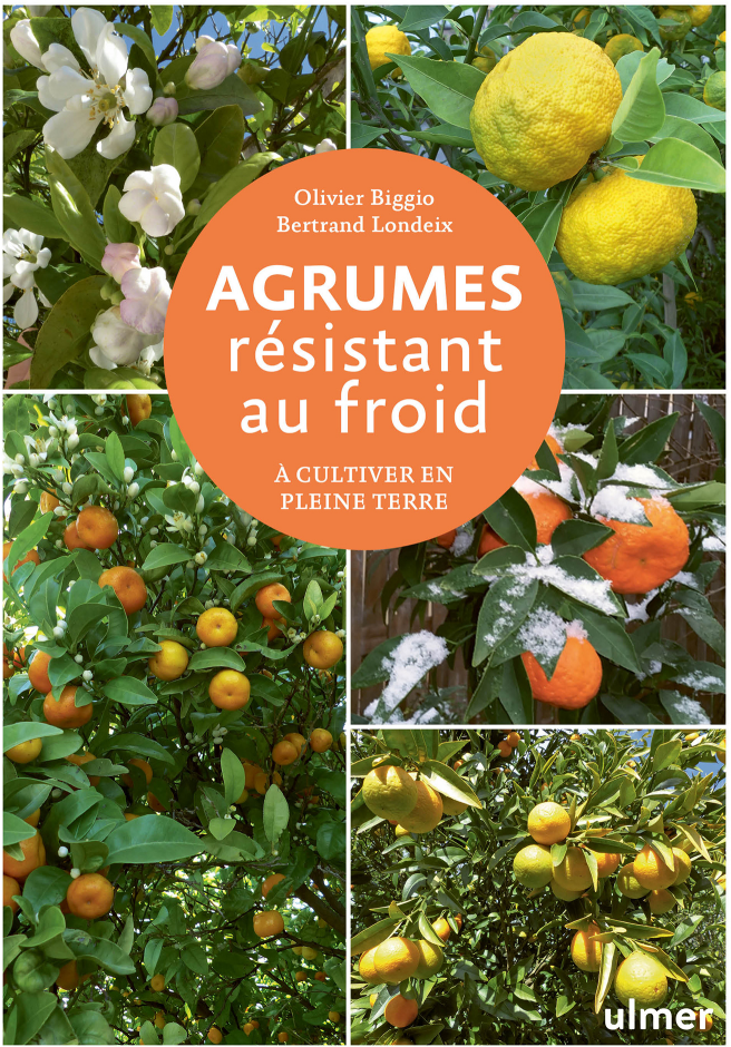 couverture agrumes résistant au froid