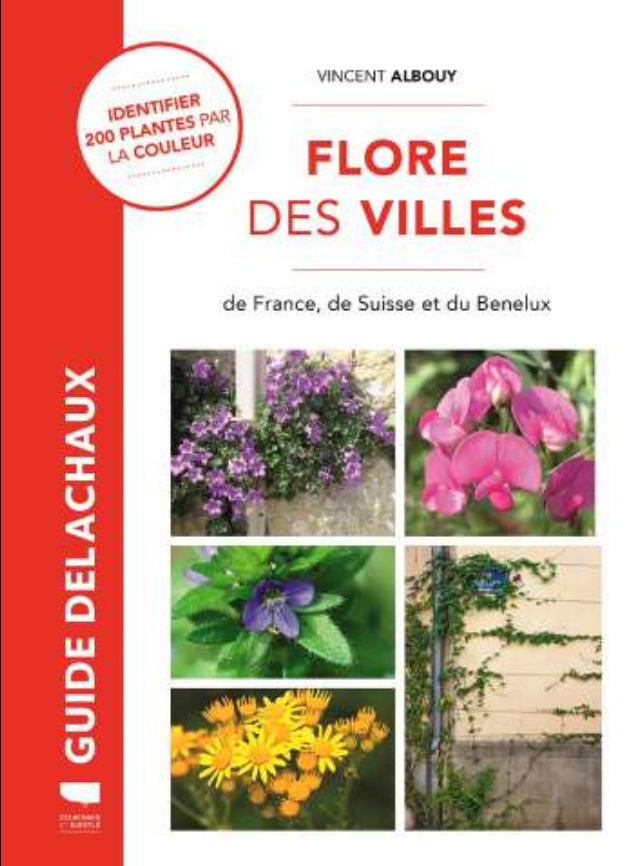 Couverture Flore des villes