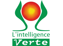 LOGO Intelligence Verte Orange