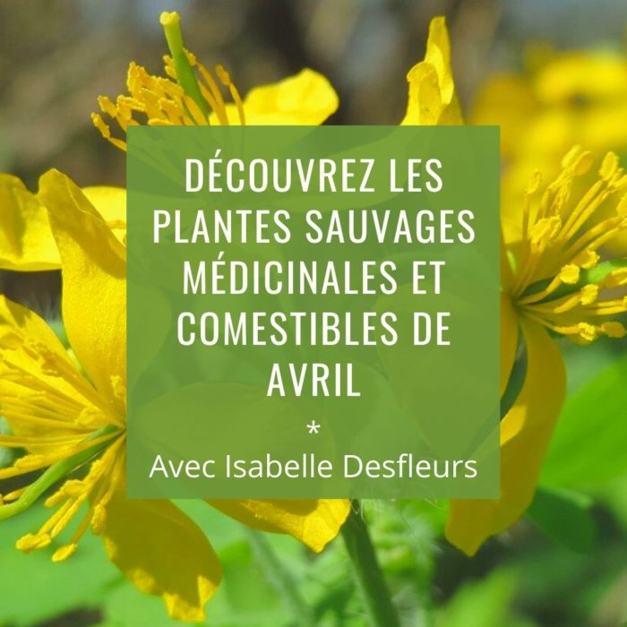 Sortie Plantes sauvages comestibles médicinales avril Paris