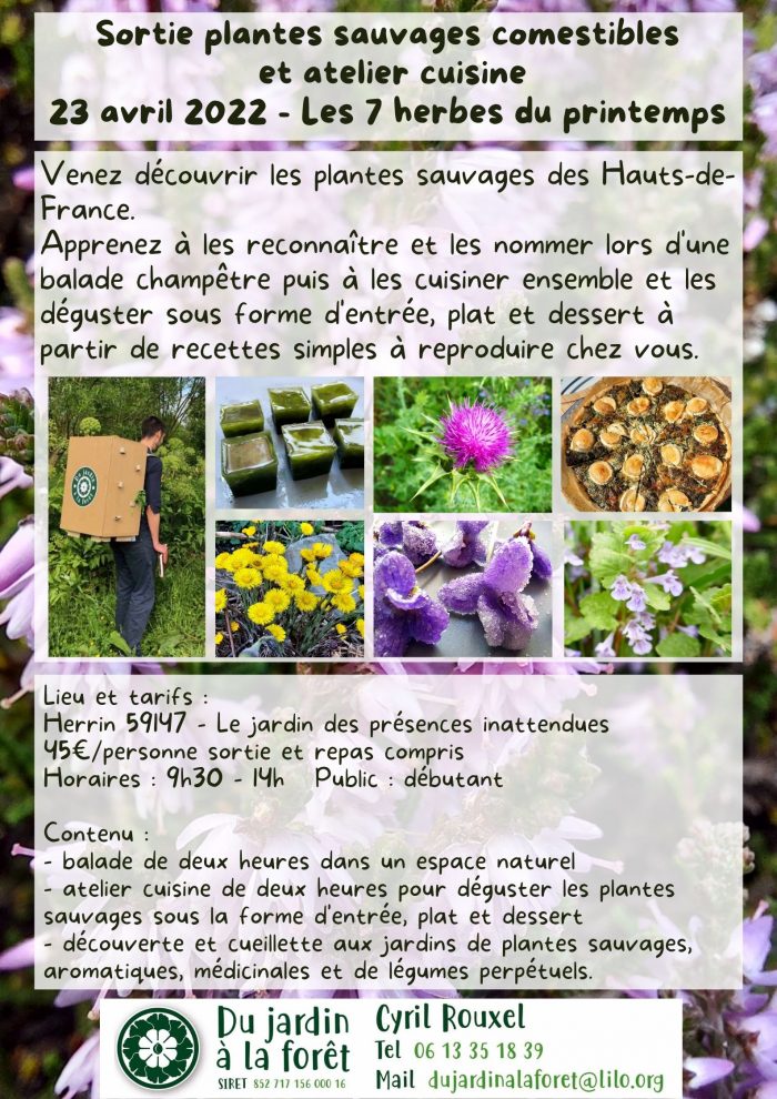 Sortie plantes sauvages comestibles et atelier cuisine Le 23 avril 2022