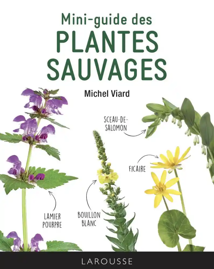 couverture Mini guide des plantes sauvages