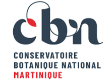 logo CBN Martinique