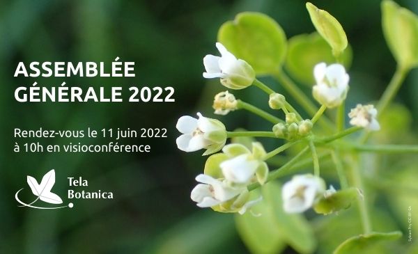 Invitation Assemblée générale 2022 de Tela Botanica