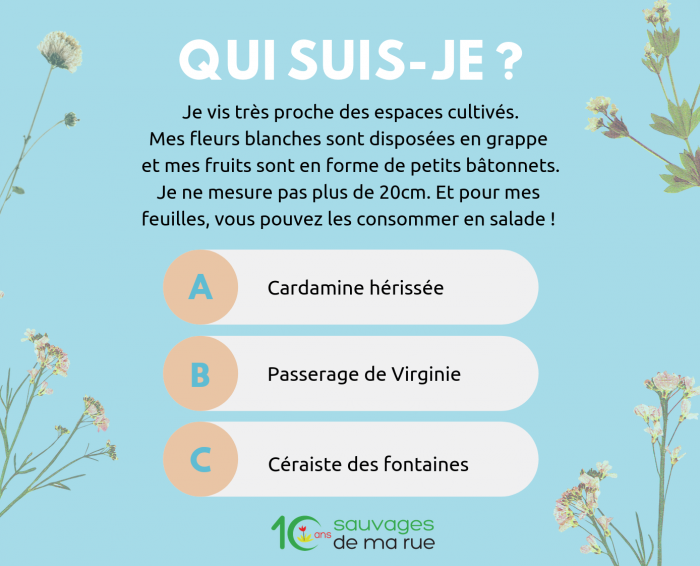 Présentation en image de la question