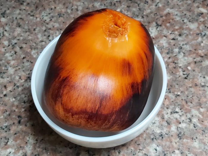 Fruit de borasse mûr (Photo : Pascal Médeville)