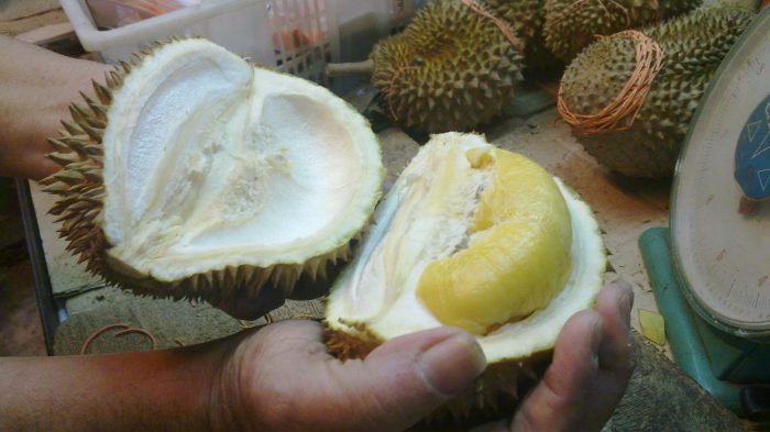 Petit durion, de la très appréciée variété Musang King, sur un marché de nuit de Kuala Lumpur (Photo : Pascal Médeville)