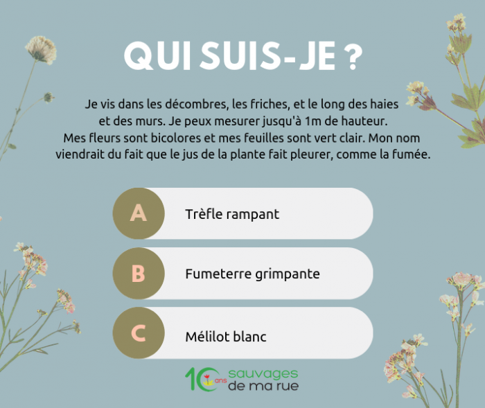 Présentation en image de la question