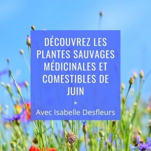 Sortie Plantes sauvages comestibles médicinales juin Paris