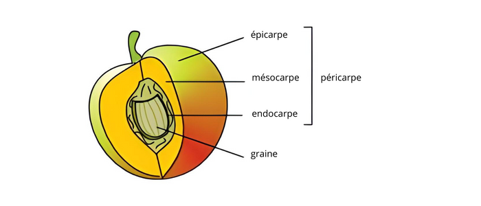 Bandeau Image a la une - Actu (700 × 300 px)(10)