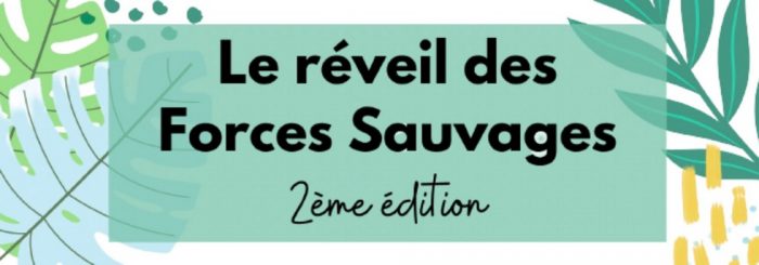 Logo-Reveil-des-Forces-Sauvages
