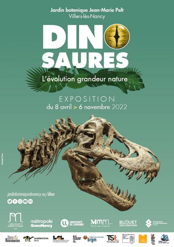 csm_Affiche_expo_Dino_Evolution_81b0e7e54e