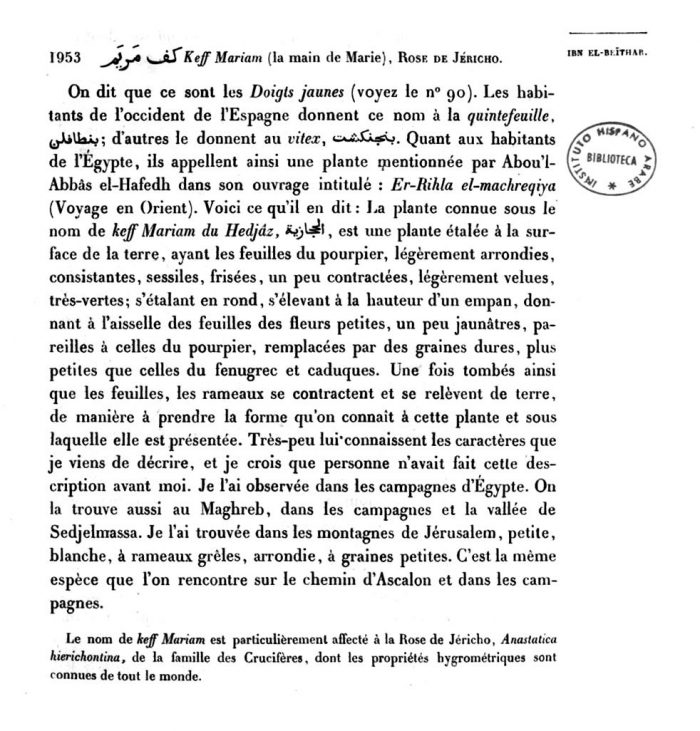 Anastatica - Leclerc - Ibn el-Beïthar tome 3 p197