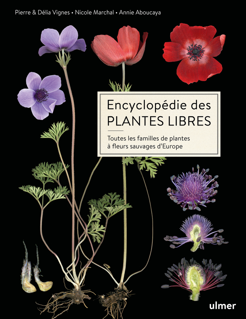 Les plantes de couverture