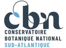 logo cbnsa