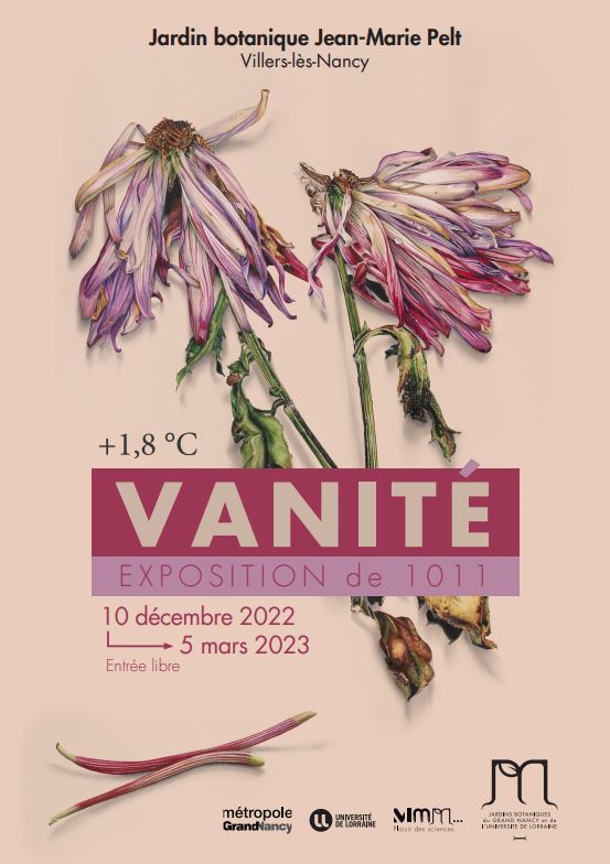 Vanité