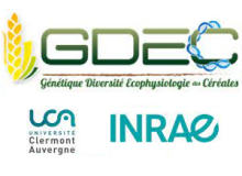 logo GDEC