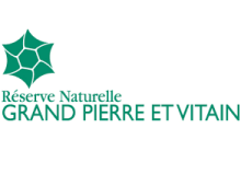 logo RNN Grand Pierre et Vitain