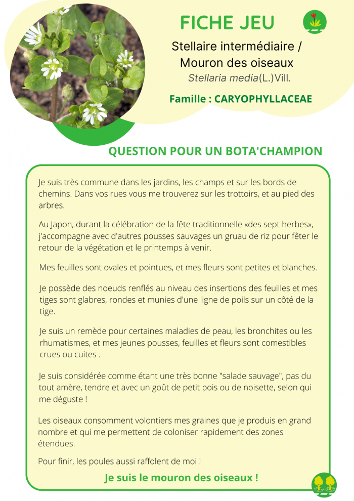 Carte question pour un bota'champion