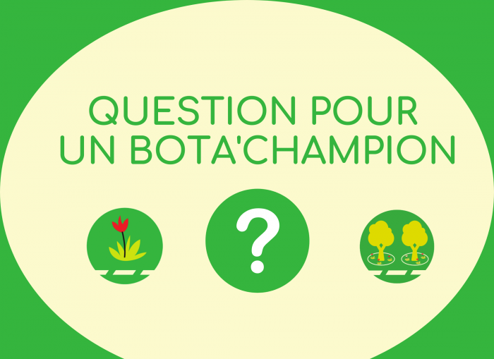 Image questions pour un champion