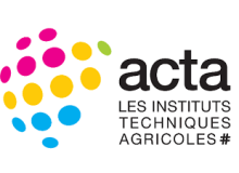 logo Acta