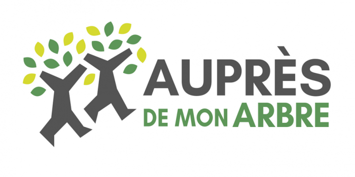 APA] Quiz sur les observatoires citoyens liés aux arbres – Tela Botanica