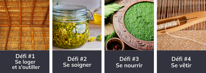 Illustration des 4 thèmes des Défis Photo 2023 autour du MOOC Botanique 2 “Les plantes et leurs usages - Photos par Canva