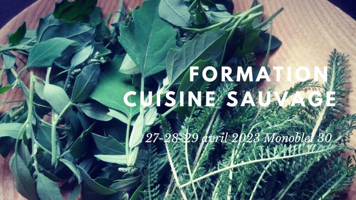 332081163_2347960592030556_1147299743499698186_n