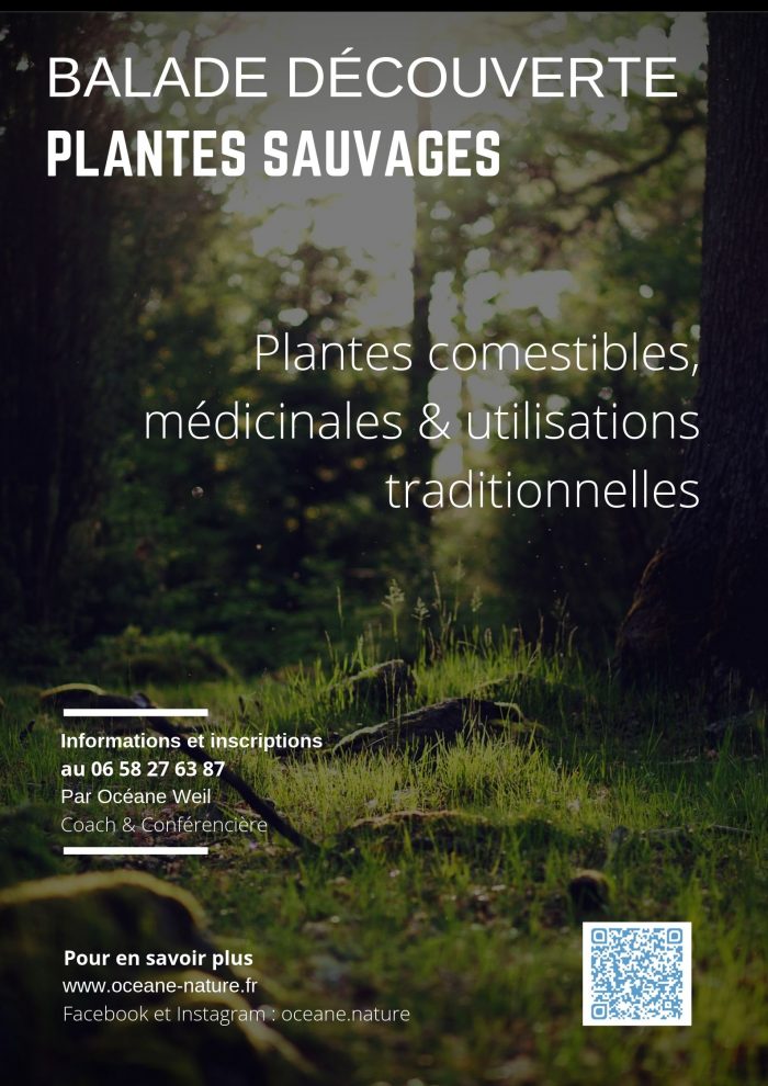 Affcihe Balade d├®couverte des plantes CV