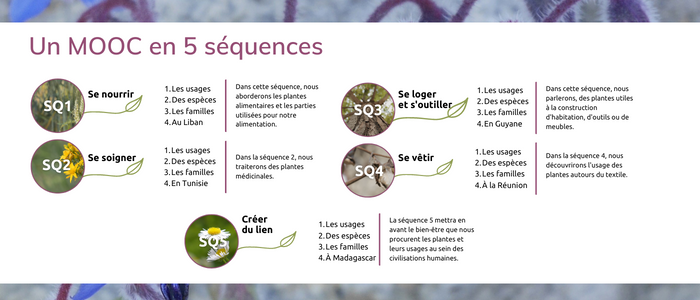 Programme du MOOC Botanique 2