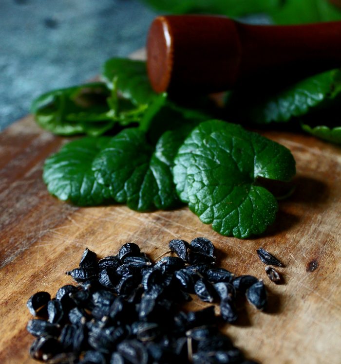 Cocktail lierre terrestre et macaron 2