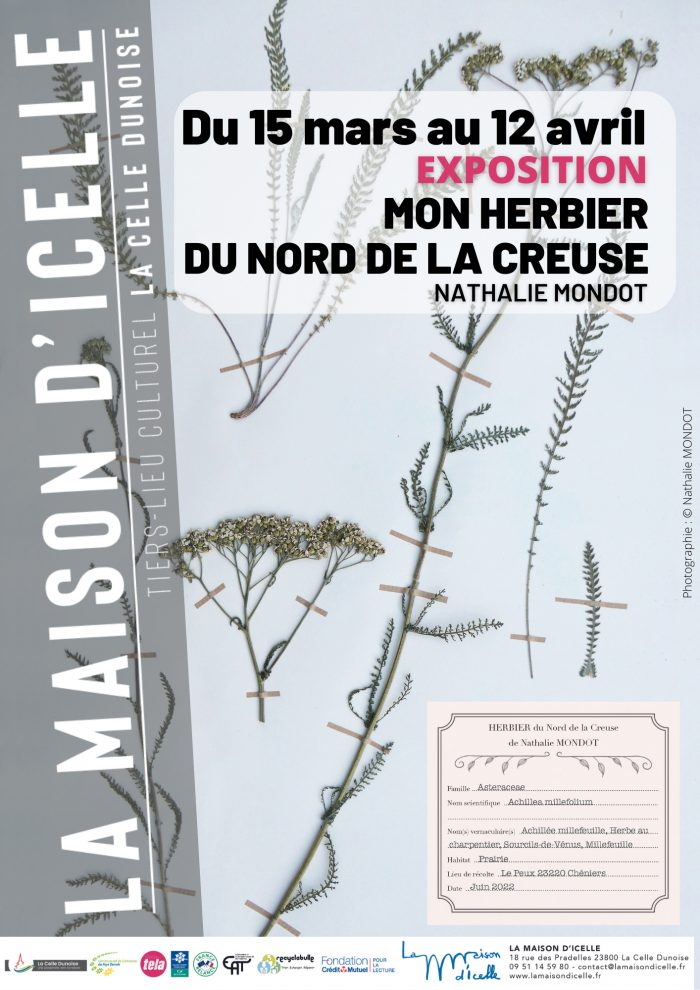 Expo-Mon-herbier-du-Nord-de-la-Creuse-Nathalie-MONDOT-2023