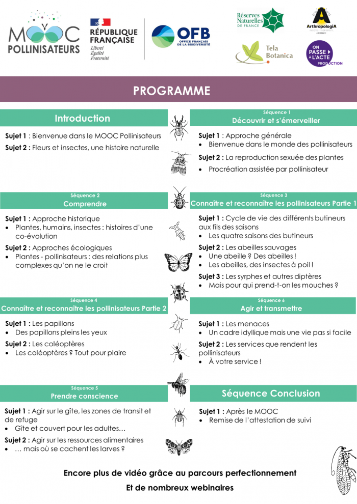 Flyers MOOC Pollinisateurs