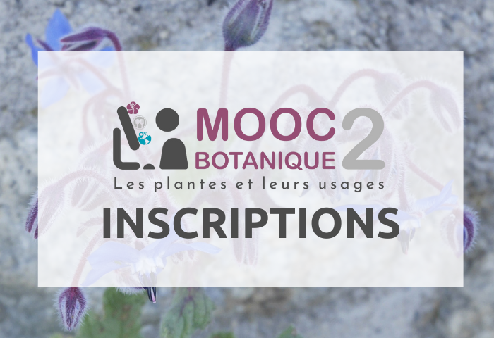 Inscriptions au MOOC Bota 2 (700480)