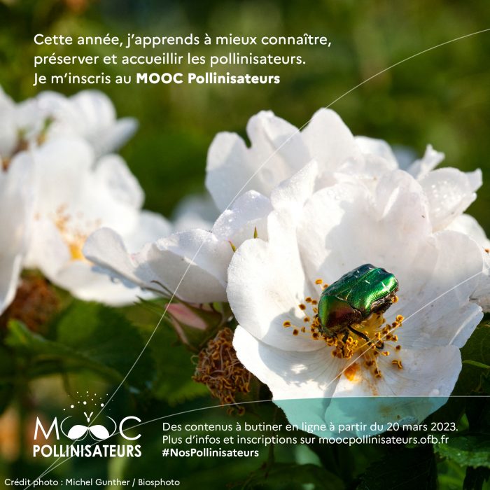 MOOC_2048X2048_02