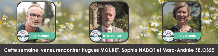 Séquence 1 - MOOC Pollinisateurs