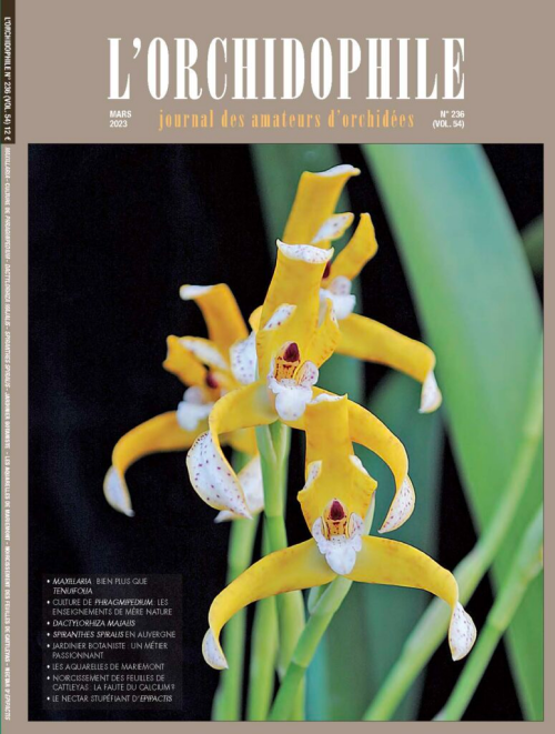 couverture orchidophile 236